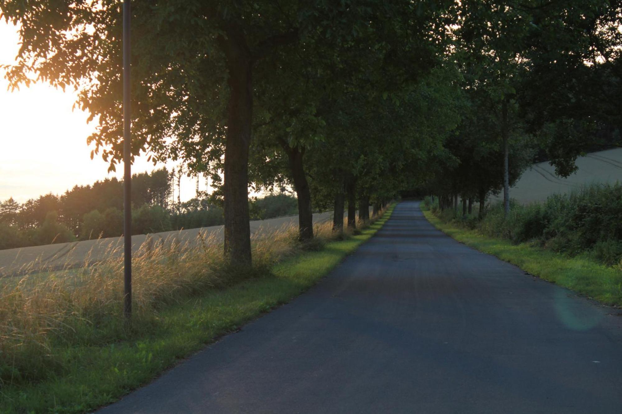 Fewo Harling - Waldsamkeit บาด อิบวร์ก ภายนอก รูปภาพ