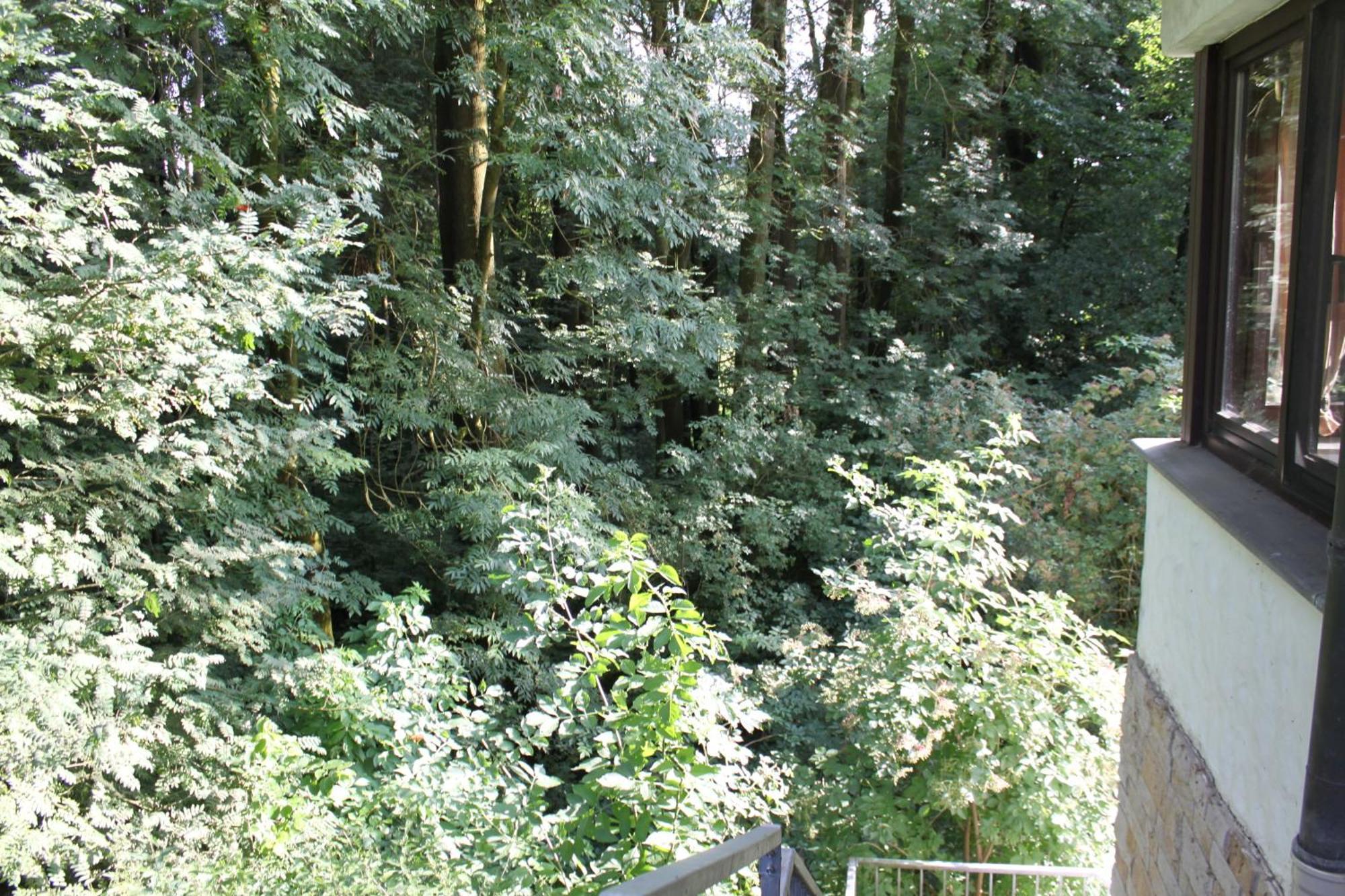 Fewo Harling - Waldsamkeit บาด อิบวร์ก ภายนอก รูปภาพ